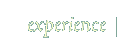 Experience