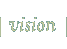 Vision